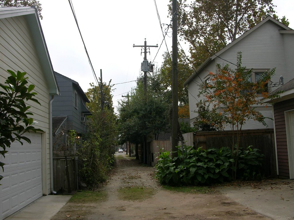 Leann Mueller 941 Cortlandt backyard alley (13)