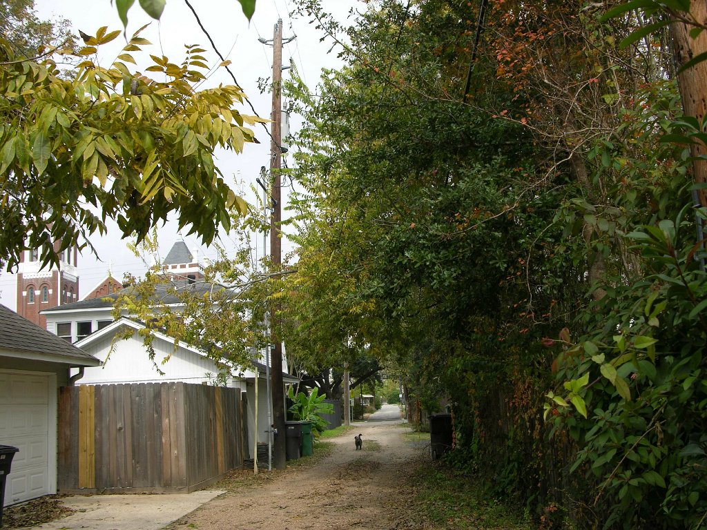 Leann Mueller 941 Cortlandt backyard alley (14)