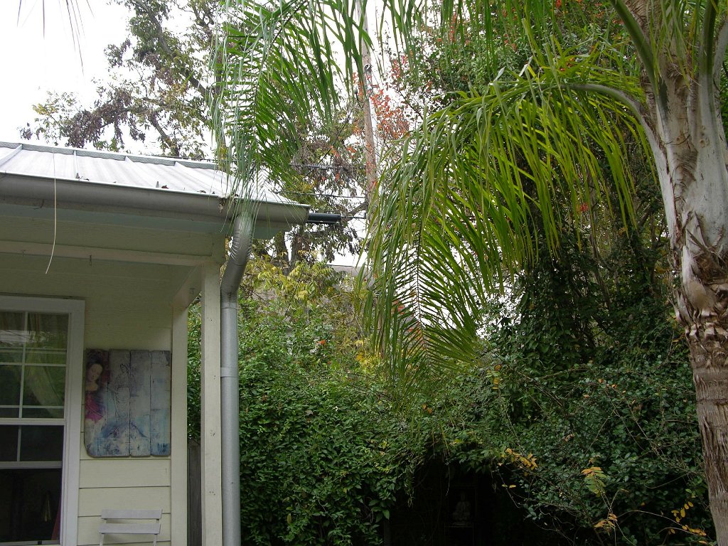 Leann Mueller 941 Cortlandt backyard alley (5)