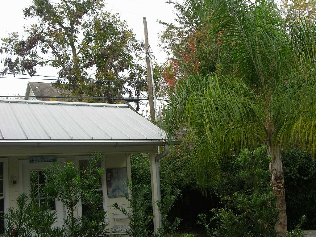 Leann Mueller 941 Cortlandt backyard alley (7)