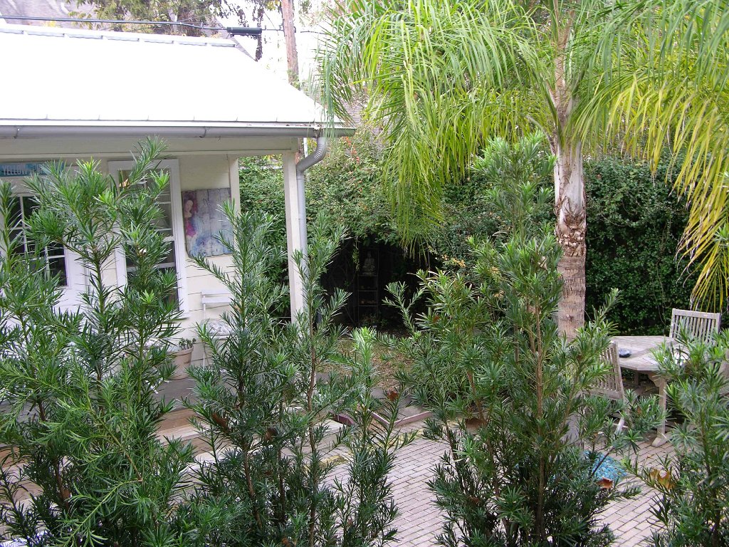 Leann Mueller 941 Cortlandt backyard alley (8)