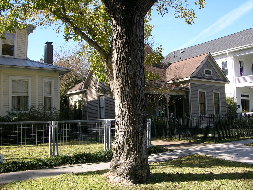 Leanne Mueller 941 Cortlandt (3)