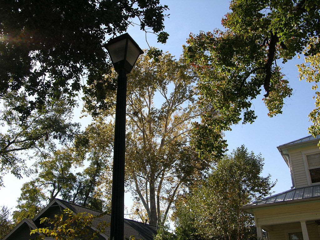 Leanne Mueller 941 Cortlandt (4)