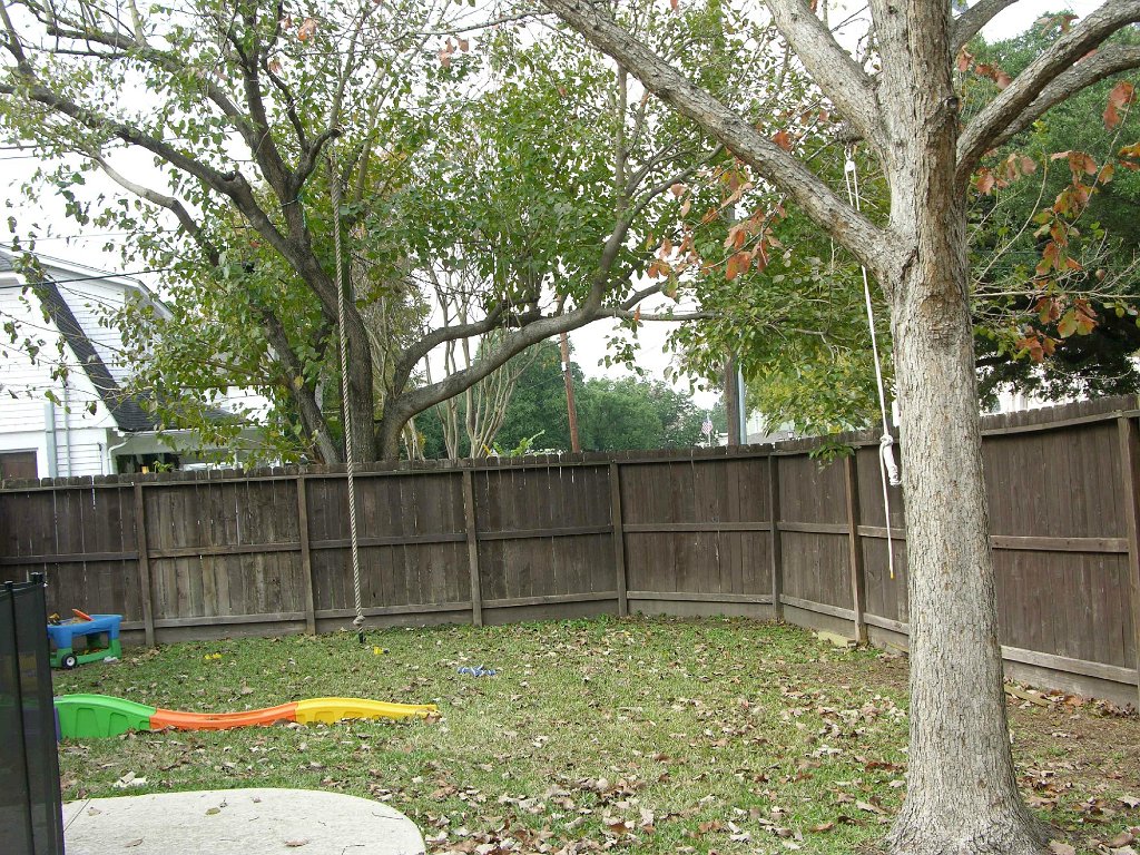 Shauna See 945 Cortlandt backyard and alley (1)