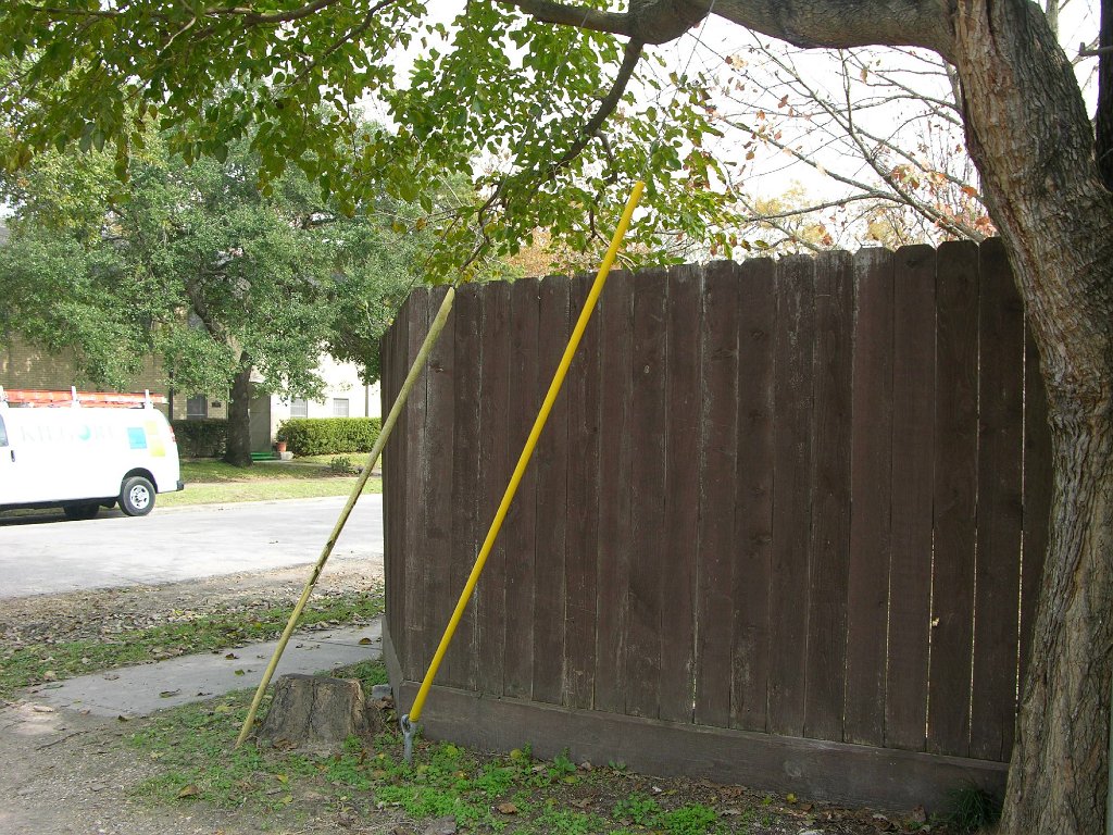 Shauna See 945 Cortlandt backyard and alley (10)