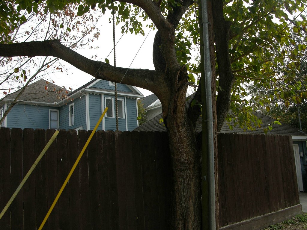 Shauna See 945 Cortlandt backyard and alley (11)