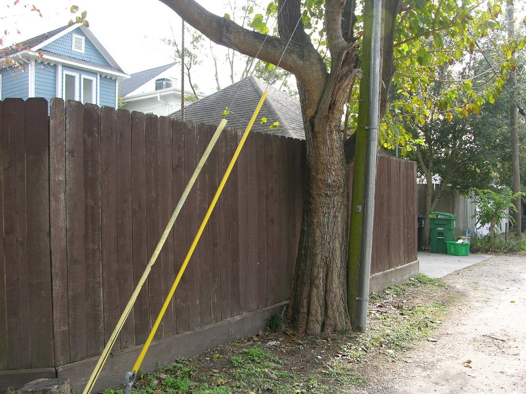 Shauna See 945 Cortlandt backyard and alley (13)