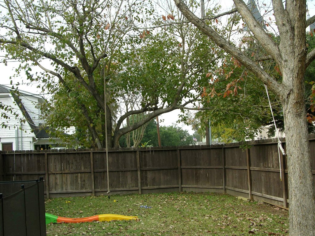 Shauna See 945 Cortlandt backyard and alley (2)