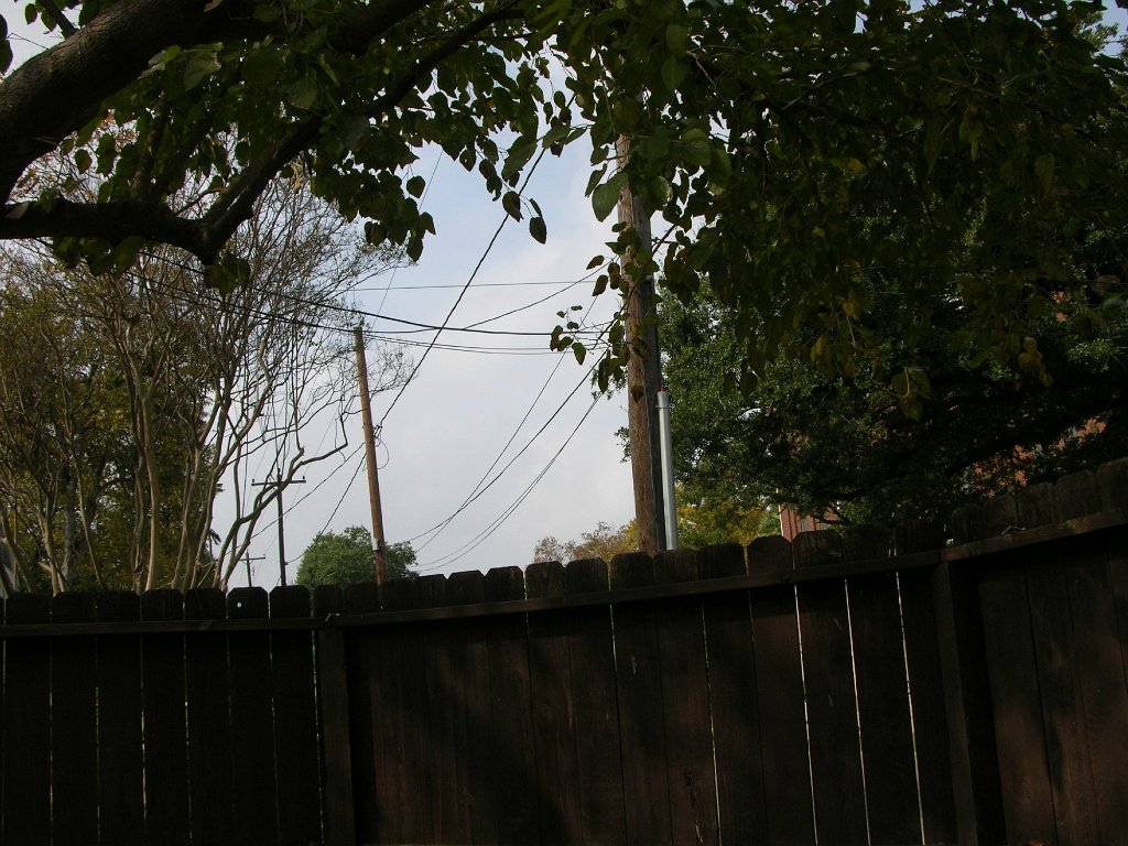 Shauna See 945 Cortlandt backyard and alley (5)