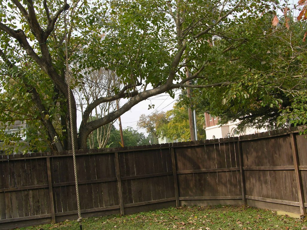 Shauna See 945 Cortlandt backyard and alley (7)